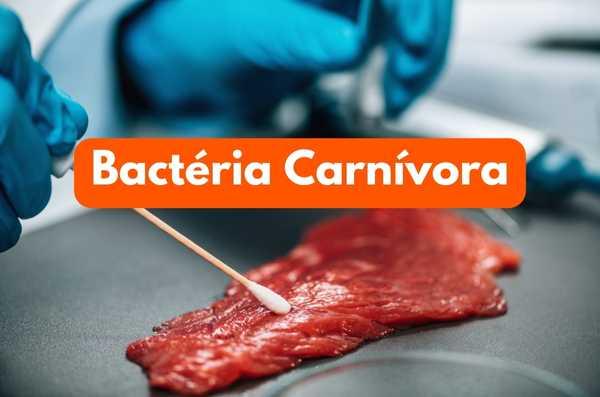 Tudo o que você precisa saber sobre a bactéria comedora de carne